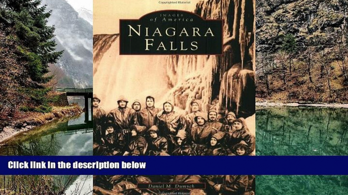 Big Deals  Niagara Falls (Images of America)  Best Seller PDF