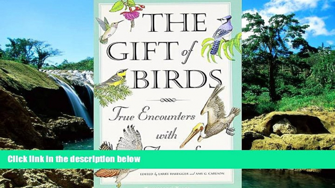 Ebook deals  The Gift of Birds: True Encounters with Avian Spirits (Travelers  Tales Guides)  Buy