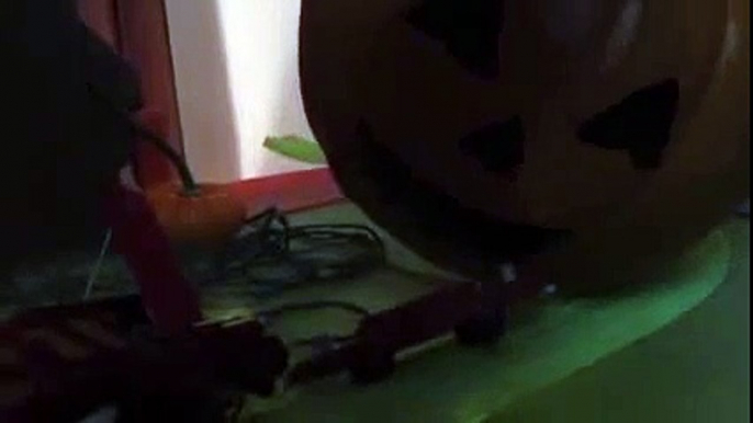 Thomas The Train Halloween Pumpkin falls on Victor