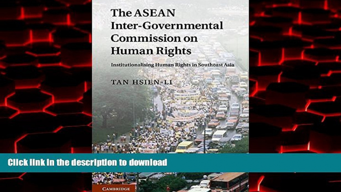 Read book  The ASEAN Intergovernmental Commission on Human Rights: Institutionalising Human Rights