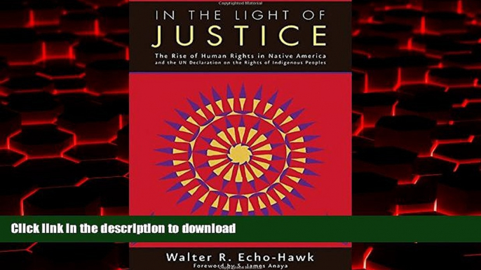 Buy books  In the Light of Justice: The Rise of Human Rights in Native America and the UN