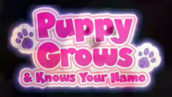 Puppy Grows & Knows Your Name