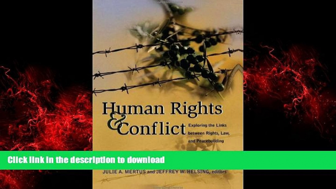 Best book  Human Rights and Conflict: Exploring the Links between Rights, Law, and Peacebuilding