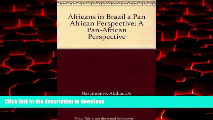 Best book  Africans in Brazil a Pan African Perspective: A Pan-African Perspective