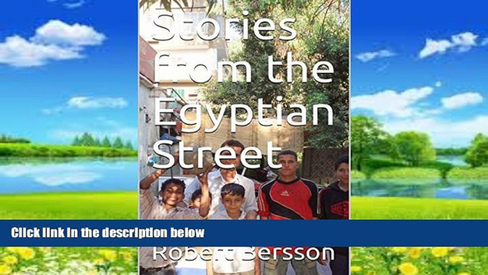 Big Deals  Stories from the Egyptian Street  Full Ebooks Best Seller