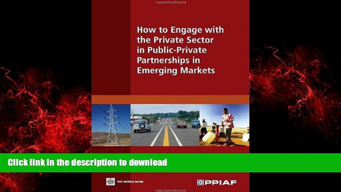 Read book  How to Engage with the Private Sector in Public-Private Partnerships in Emerging