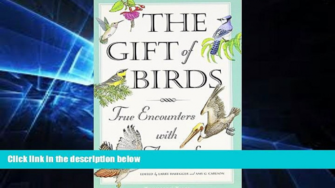 Must Have  The Gift of Birds: True Encounters with Avian Spirits (Travelers  Tales Guides)  Most