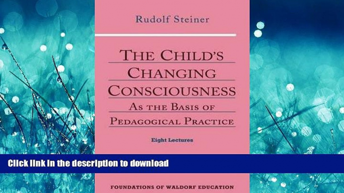 READ  The Child s Changing Consciousness: As the Basis of Pedagogical Practice (Foundations of