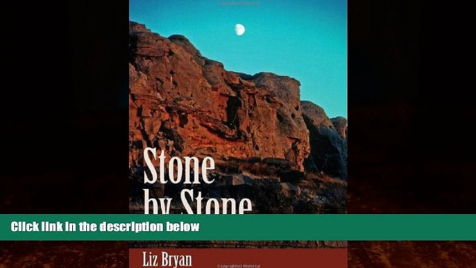 Books to Read  Stone by Stone: Exploring Ancient Sites on the Canadian Plains  Best Seller Books