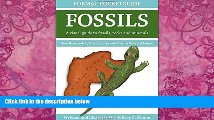 Books to Read  Formac Pocketguide to Fossils: Fossils, Rocks   Minerals in Nova Scotia, New