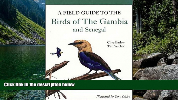 Big Deals  A Field Guide to Birds of The Gambia and Senegal  Most Wanted