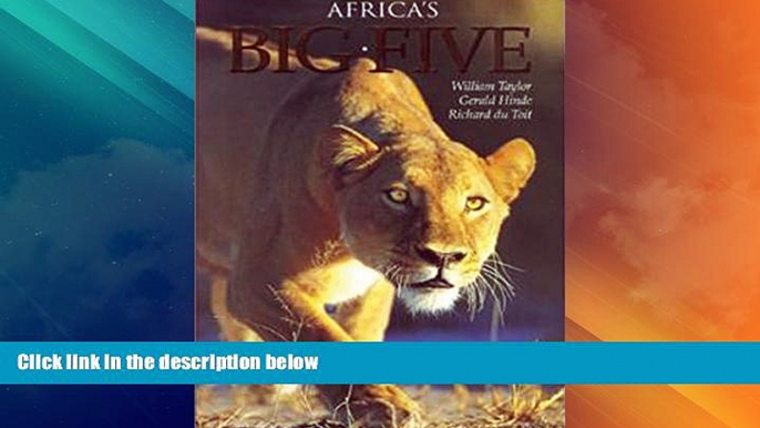 Deals in Books  Africa s Big Five  Premium Ebooks Best Seller in USA