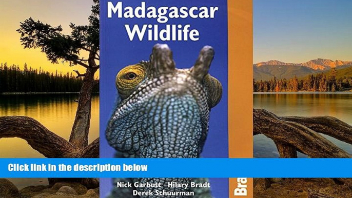 Best Deals Ebook  Madagascar Wildlife 3rd (Bradt Travel Guide Madagascar Wildlife)  Most Wanted