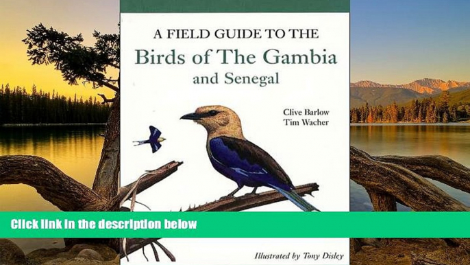 Big Deals  A Field Guide to Birds of The Gambia and Senegal  Best Buy Ever