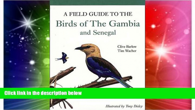 Must Have  A Field Guide to Birds of The Gambia and Senegal  Most Wanted