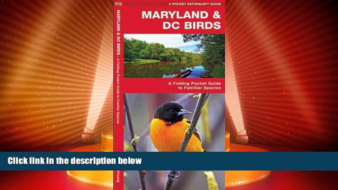 Big Sales  Maryland   DC Birds: A Folding Pocket Guide to Familiar Species (Pocket Naturalist