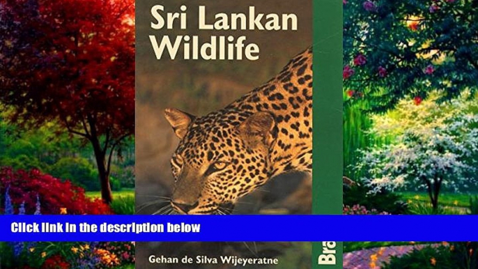 Big Deals  Sri Lankan Wildlife (Bradt Guides)  Best Seller Books Most Wanted