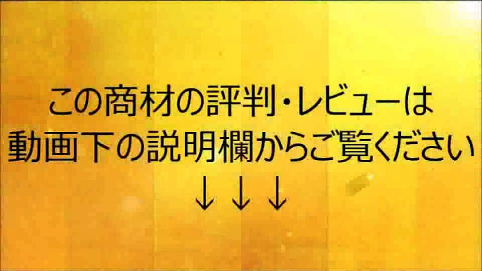 56 今度こそ作れる！事業計画書かんたん作成プログラム「ビジプロ。」 購入 評判 評価 特典 検証 レビュー 口コミ ブログ 感想 動画 詐欺 内容 実践