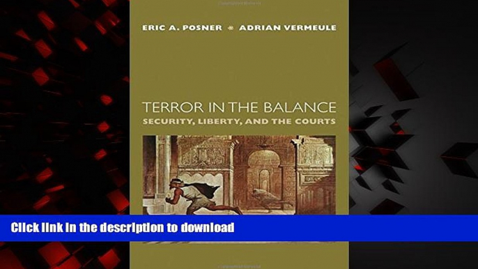 Read book  Terror in the Balance: Security, Liberty, and the Courts online