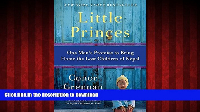 liberty books  Little Princes: One Man s Promise to Bring Home the Lost Children of Nepal online