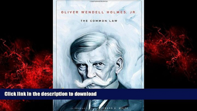 liberty book  The Common Law (The John Harvard Library) online for ipad