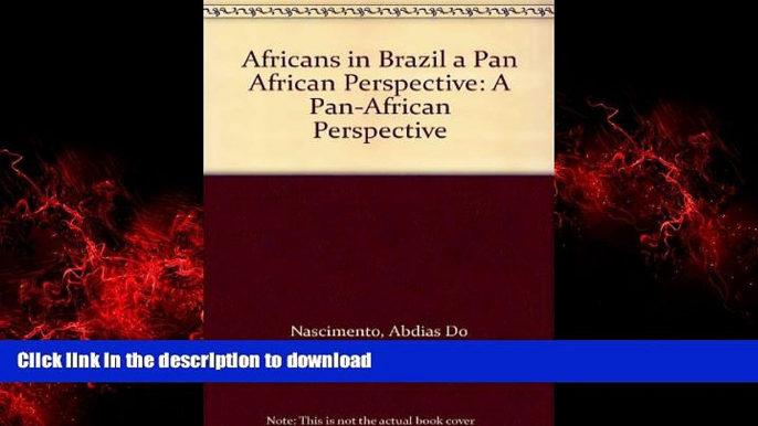 Read books  Africans in Brazil a Pan African Perspective: A Pan-African Perspective online to buy