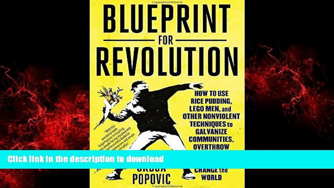 Buy book  Blueprint for Revolution: How to Use Rice Pudding, Lego Men, and Other Nonviolent