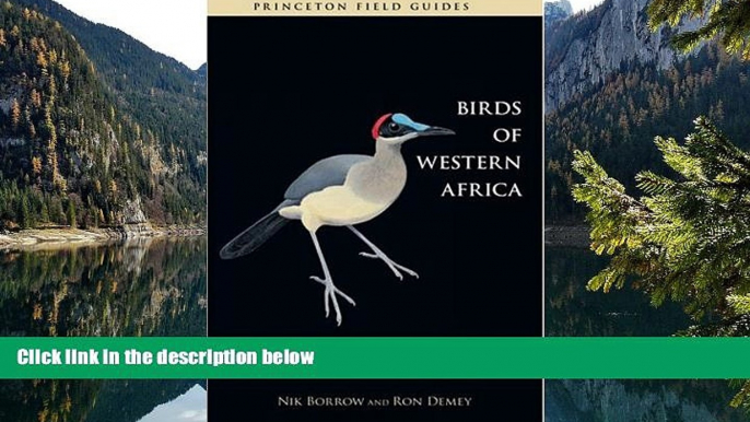 Deals in Books  Birds of Western Africa (Princeton Field Guides)  Premium Ebooks Online Ebooks