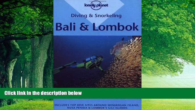 Books to Read  Diving and Snorkeling Bali and Lombok (Lonely Planet)  Best Seller Books Most Wanted