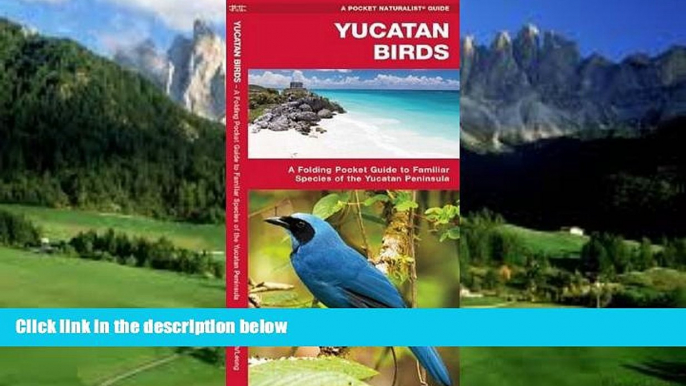 Best Buy PDF  Yucatan Birds (Pocket Naturalist Guide Series)  [DOWNLOAD] ONLINE