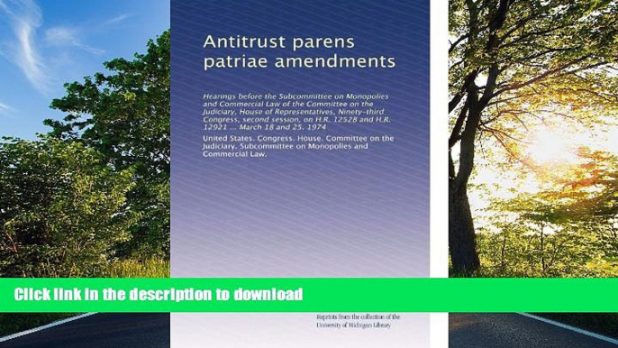 READ BOOK  Antitrust parens patriae amendments: Hearings before the Subcommittee on Monopolies