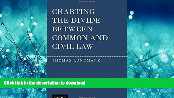 READ BOOK  Charting the Divide Between Common and Civil Law FULL ONLINE