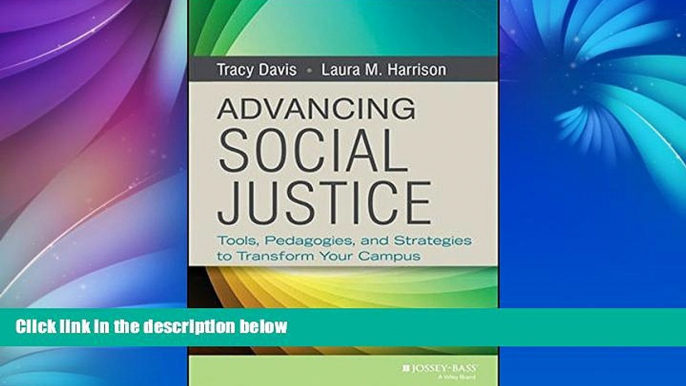 Big Deals  Advancing Social Justice: Tools, Pedagogies, and Strategies to Transform Your Campus