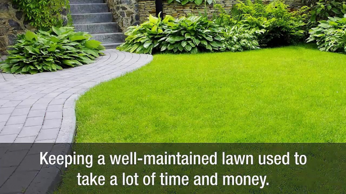 Tips For Lawn Mowing In Burnie