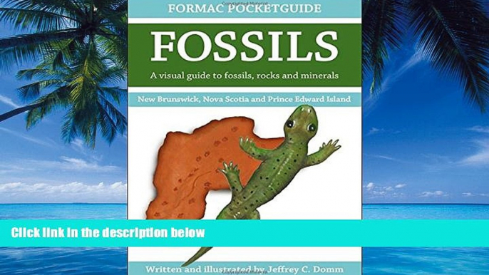 Best Buy Deals  Formac Pocketguide to Fossils: Fossils, Rocks   Minerals in Nova Scotia, New