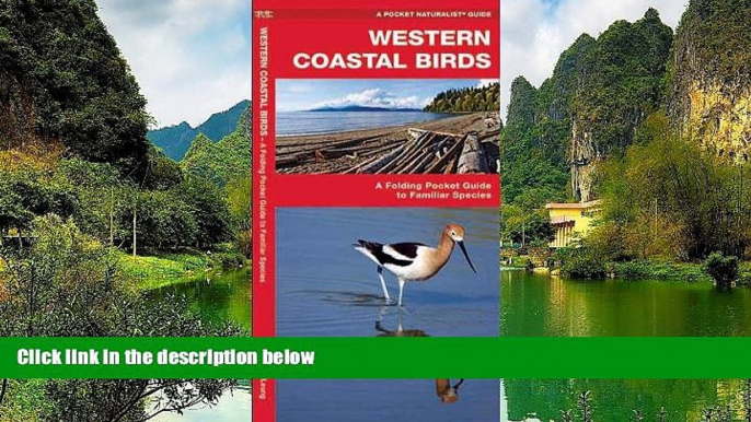 Big Deals  Western Coastal Birds: A Folding Pocket Guide to Familiar Species (Pocket Naturalist