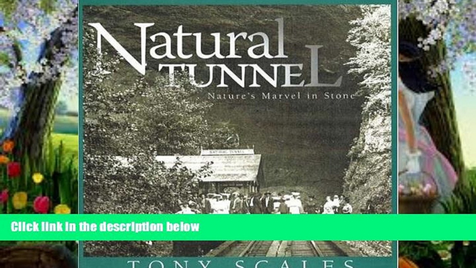 Deals in Books  Natural Tunnel: Nature s Marvel in Stone  Premium Ebooks Online Ebooks