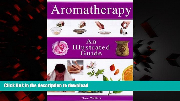 Best book  Aromatherapy: An Illustrated Guide