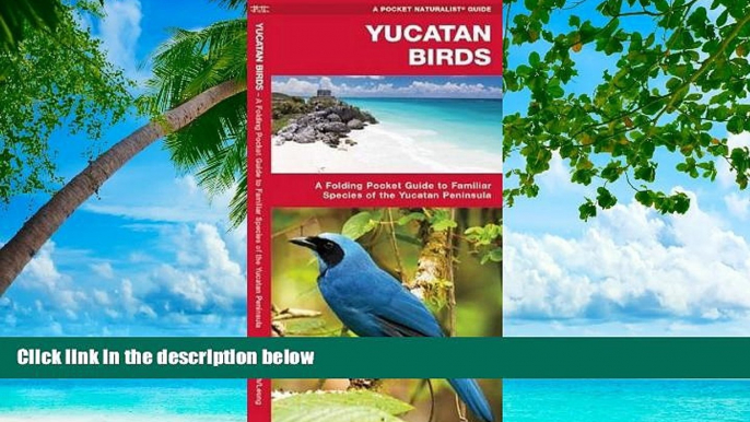 Deals in Books  Yucatan Birds (Pocket Naturalist Guide Series)  READ PDF Online Ebooks