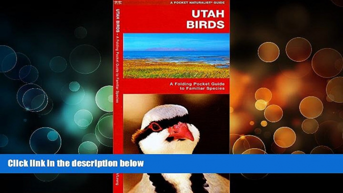 Deals in Books  Utah Birds: A Folding Pocket Guide to Familiar Species (Pocket Naturalist Guide