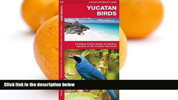 Deals in Books  Yucatan Birds (Pocket Naturalist Guide Series)  Premium Ebooks Online Ebooks