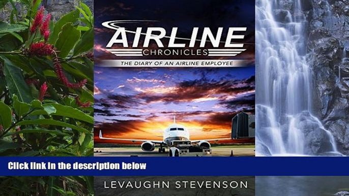 Big Sales  Airline Chronicles: The Diary of an Airline Employee  Premium Ebooks Best Seller in USA