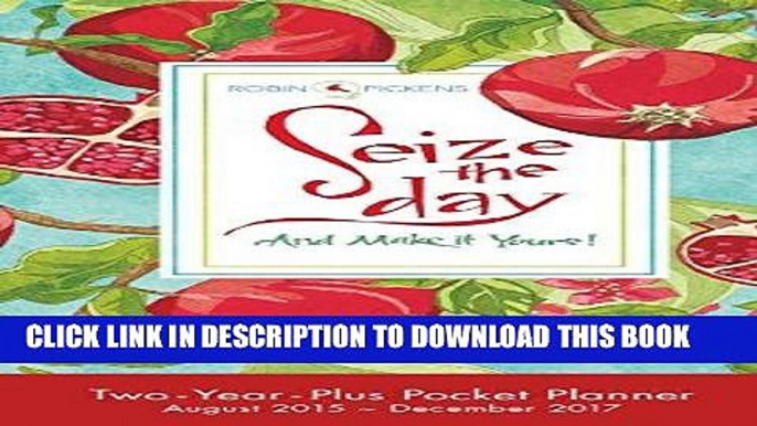 Best Seller Seize the Day 2016 Checkbook/2 year pocket planner Calendar Free Read