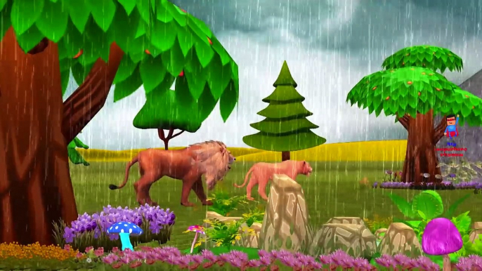 Lion Cartoon Dancing And Singing Rain Rain Go Away Nursery Rhymes For Children