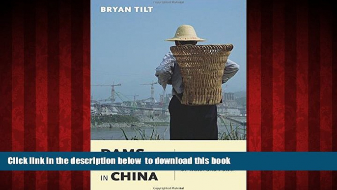 Best book  Dams and Development in China: The Moral Economy of Water and Power (Contemporary Asia