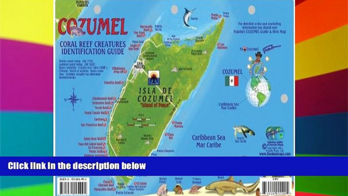 Big Deals  Cozumel Dive Map   Reef Creatures Guide Franko Maps Laminated Fish Card  Best Seller