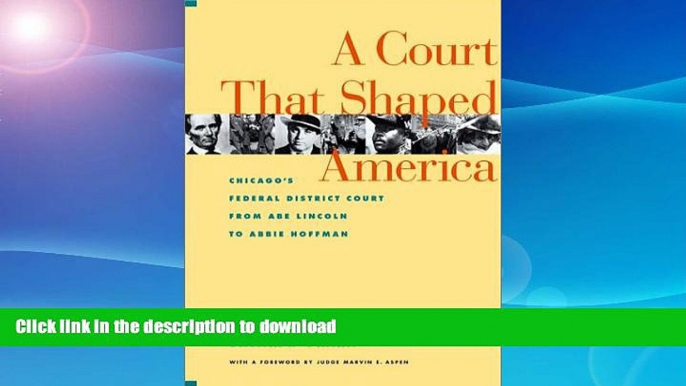 READ  A Court That Shaped America : Chicago s Federal District Court from Abe Lincoln to Abbie