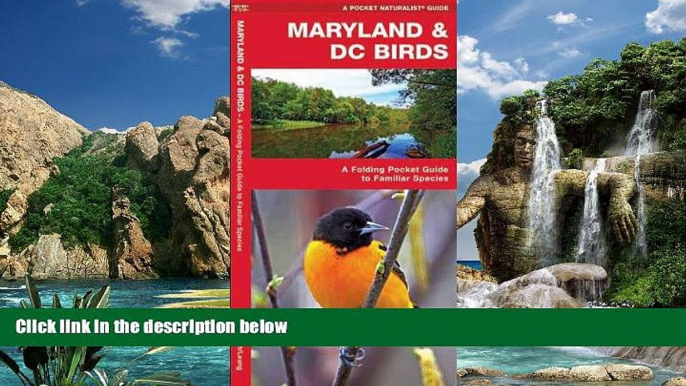 Buy NOW  Maryland   DC Birds: A Folding Pocket Guide to Familiar Species (Pocket Naturalist Guide