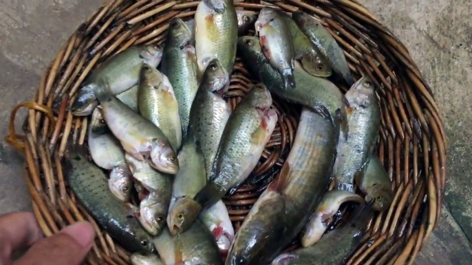 Village Food - Fried a Little Fish - How To Cook a Little Fishes - Cambodian Traditional Food