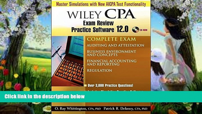 Deals in Books  Wiley CPA Examination Review Practice Software 12.0 - Complete Set  READ ONLINE